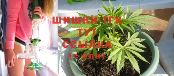 ГАЛЛЮЦИНОГЕННЫЕ ГРИБЫ Верея