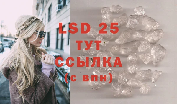 ГАЛЛЮЦИНОГЕННЫЕ ГРИБЫ Верея
