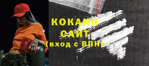 ГАЛЛЮЦИНОГЕННЫЕ ГРИБЫ Верея