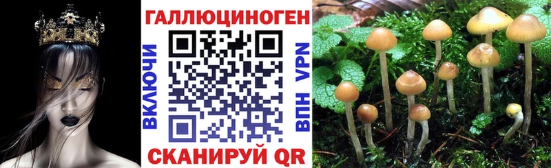 МЕГА сайт  дарнет шоп  Вязьма  Псилоцибиновые грибы Psilocybine cubensis 